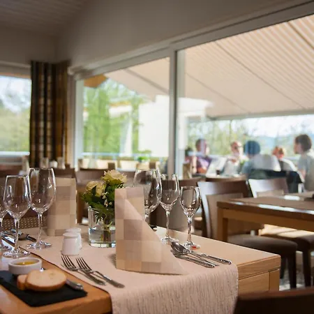 Hotel Sonneck 4*