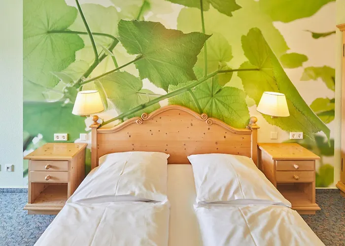 Sonneck Hotell Knüllwald